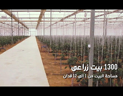 فيديو زيارة جامعة الاسكندرية لمشروع الصوب الزراعية