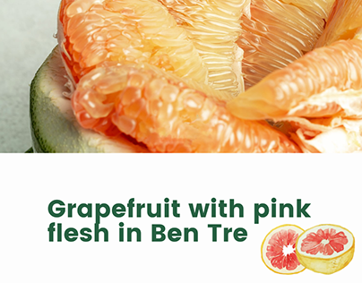 Grapefruit with pink flesh in Ben Tre