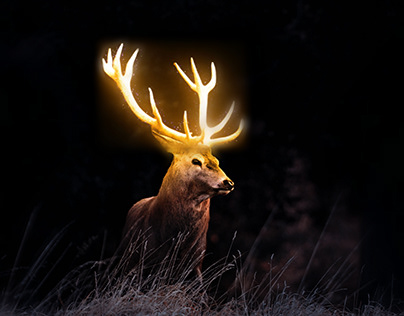 Glow Deer Edit