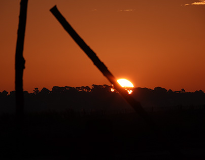 African Sunrise - 141120