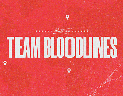 Budweiser Team Bloodlines | Young Lions Colombia 2022