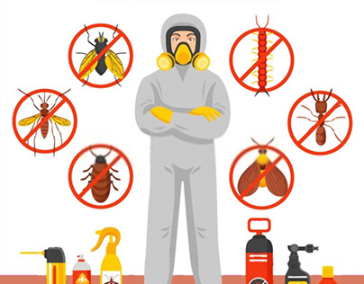 How to Mosquito control at home?