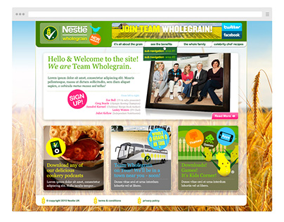 Nestlé Wholegrain Website, Branding & Art Direction