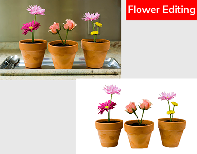 Flower pot Editing using clipping path method
