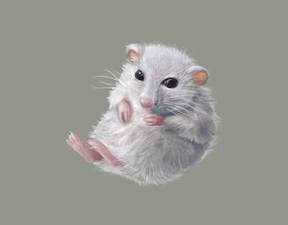 Cute hamster illustration