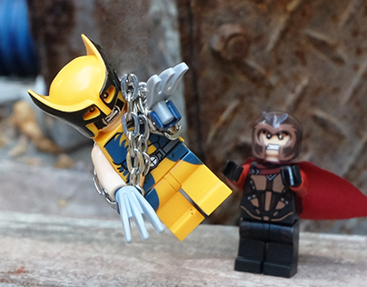 Wolverine & Magneto