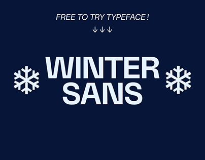 Winter Sans — Free to try