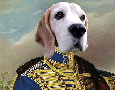 Prince Figaro de Burdigala 1