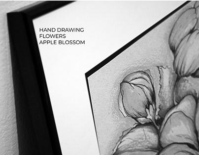Hand drawing / Flowers / Apple blossom
