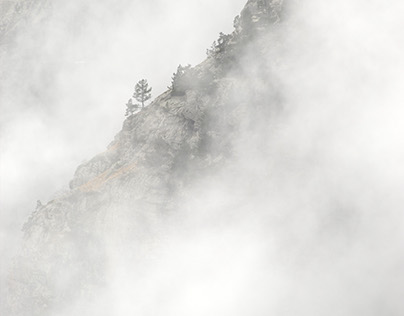 paisajes en la niebla · landscapes in the mist