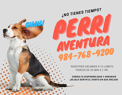 Promo proyecto perri aventura
