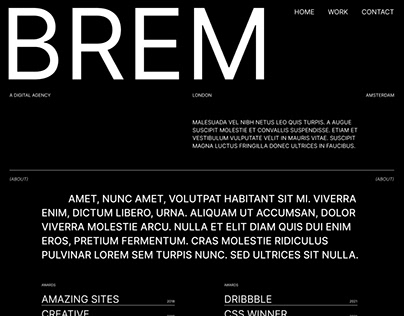 BREM - Agency Website Template