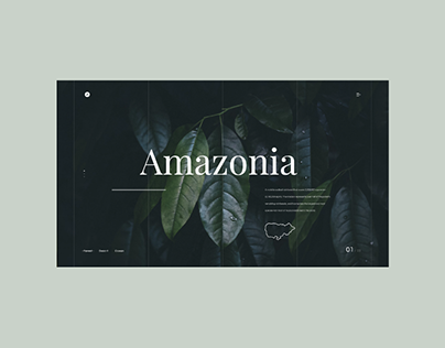 Amazonia - Web