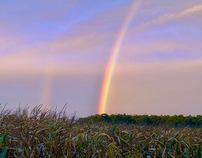 Rainbow over Corn