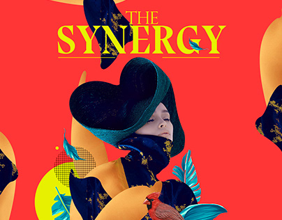 The Synergy / Fashion collage