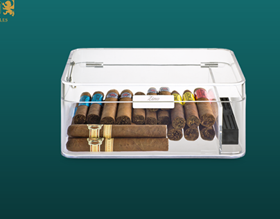 Buy Small Cigar Humidor Online in India