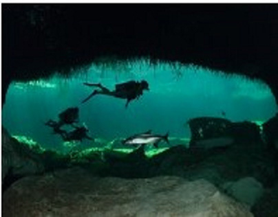 Cenote Scuba Diving | Godivemexico.com