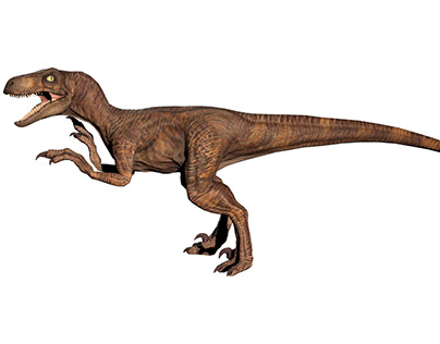 Dibujos para Colorear Velociraptor
