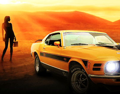 1970 Mustang. Projects | Photos, videos, logos, illustrations and branding  on Behance