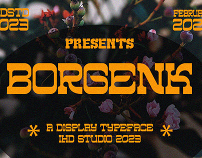 Project thumbnail - Borgenk Display Font