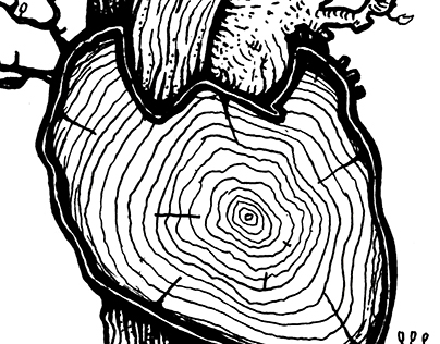 Anatomic Wood Project [Legnomia] - Heart