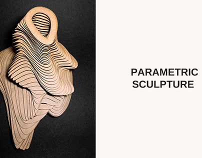 Parametric Sculpture