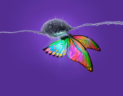 CGI Butterfly | LSD 3D