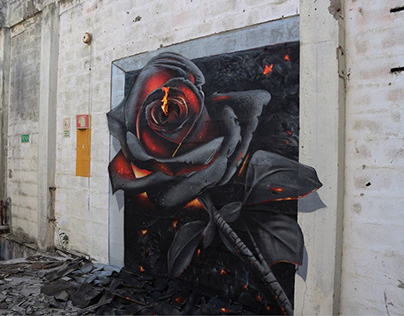 "Rebirth rose"