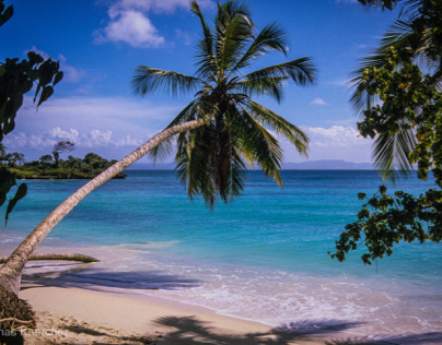 Caribbean beach, Dom Rep