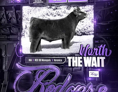 Rodgers Bull Worth The Wait Cover