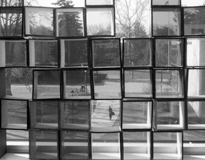 Photography Final Project:  windows;