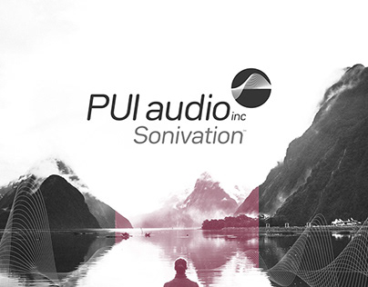 PUI Audio Identity and branding