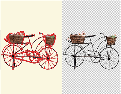 Critical Clipping path and background remove