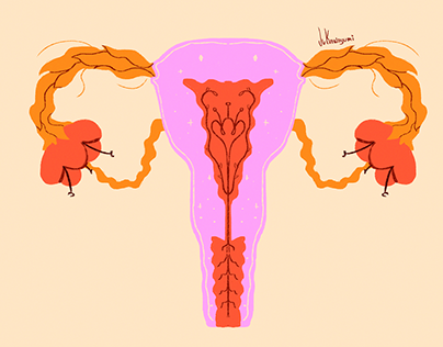 Coletor menstrual e mais sobre menstruação