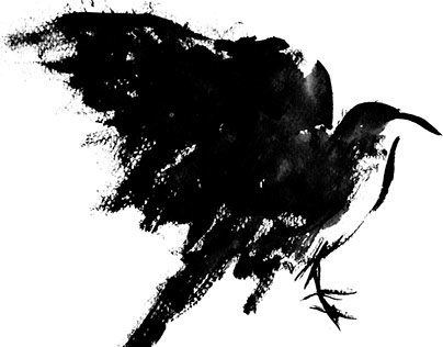The Raven of Edgar Allan Poe
