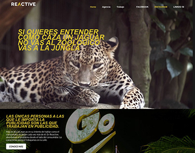 Website designed for Grupo Reactive agency