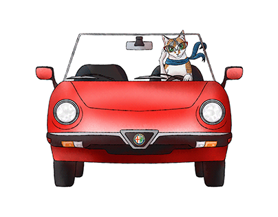 Driver Kitty