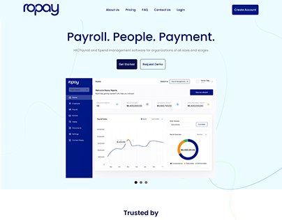 Replicate of https://ropay.africa/ home page