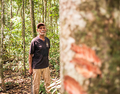 Rubber tappers of the Amazon