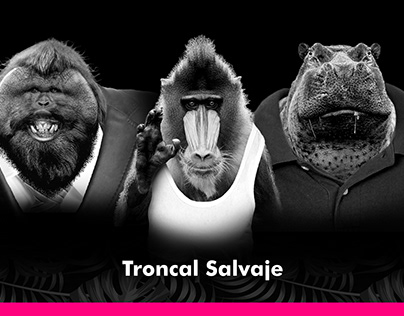 Project thumbnail - Troncal Salvaje