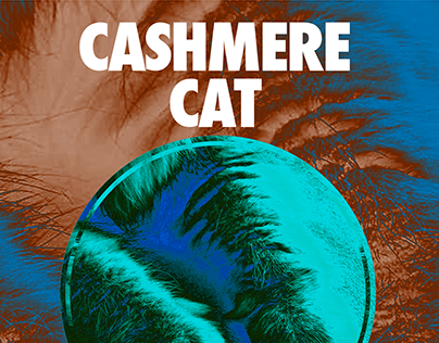 Cashmere Cat Poster & Cover Photo
