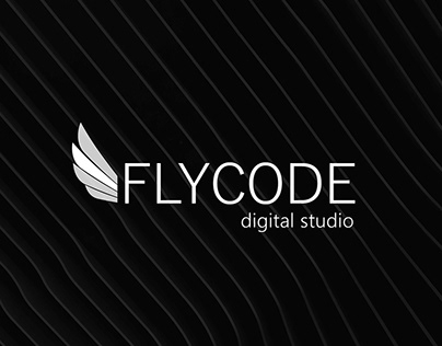 IT-COMPANY FLYCODE