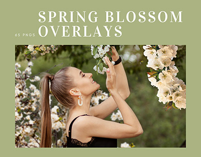 63 Spring Blossom Photo Overlays