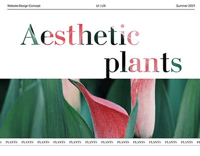 AESTHETIC PLANTS - website concept