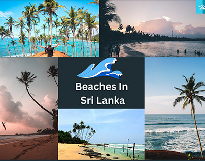 Best Beaches In Sri Lanka