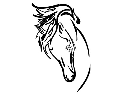 Wacom Sketch of a horse