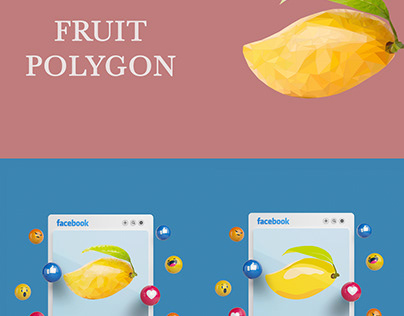 Fruit polygon and vector
