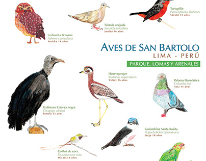 Aves de San Bartolo