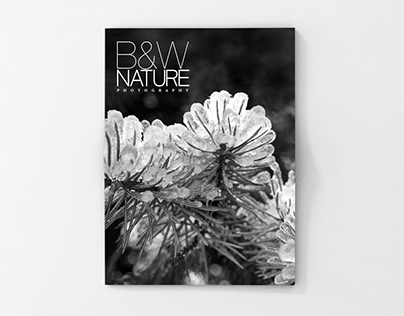 Editorial Design: B&W Nature Photography Magazine