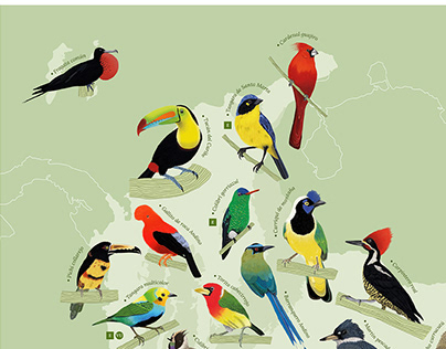 Mapa Aves de Colombia